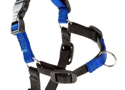 FERPLAST PEITORAL COACH AZUL - S/M