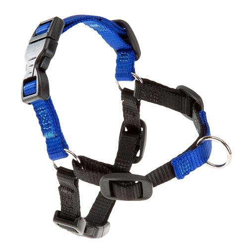 FERPLAST PEITORAL COACH AZUL - S/M
