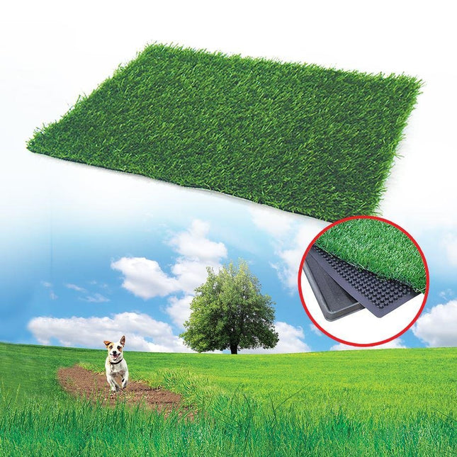 CHALESCO REFIL GRAMA PET PARK