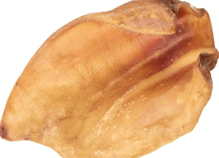 DUE ORELHA BOVINA
