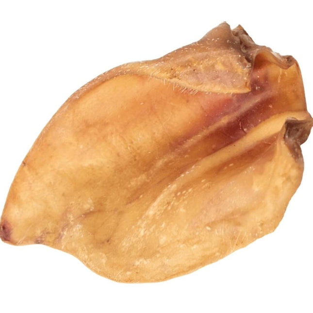 DUE ORELHA BOVINA