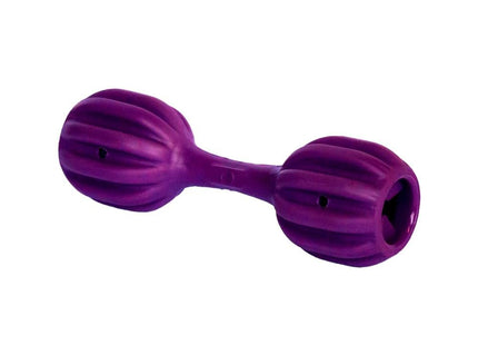 AMICUS BRINQ. FUN TOYS PET FIT ROXO M/G