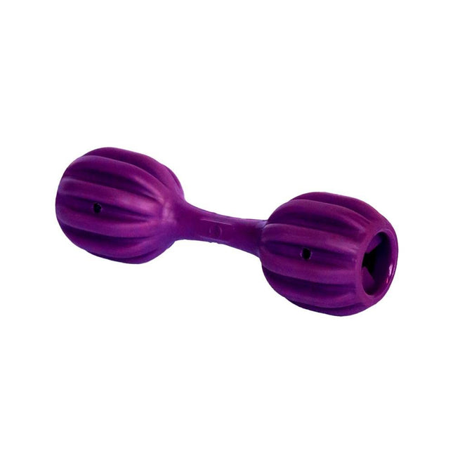 AMICUS BRINQ. FUN TOYS PET FIT ROXO M/G