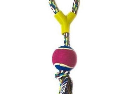 PET KIDS CORDA COM BOLA TENIS