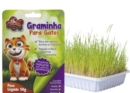 CAT DOG GRAMINHA PARA GATOS