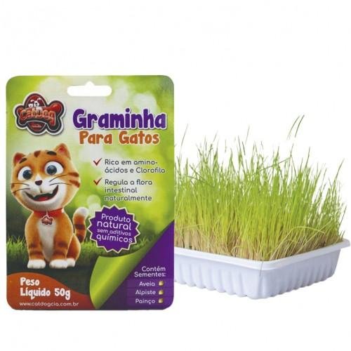 CAT DOG GRAMINHA PARA GATOS