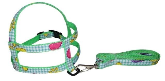COURACA CONJUNTO PEIT. GUIA NYLON ESTAMP NR.02