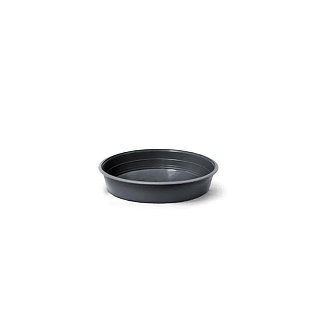NUTRIPLAN PRATO PLASTICO PRETO NR.00