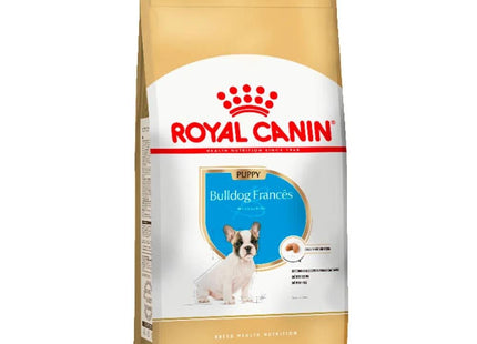ROYAL BULLDOG FRANCES PUPPY 2,5KG
