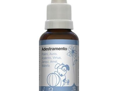 BIO FLORAIS ADESTRAMENTO 31ML