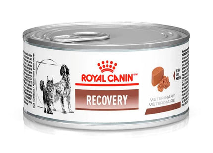 ROYAL LATA RECOVERY CANINE/FELINE 195G