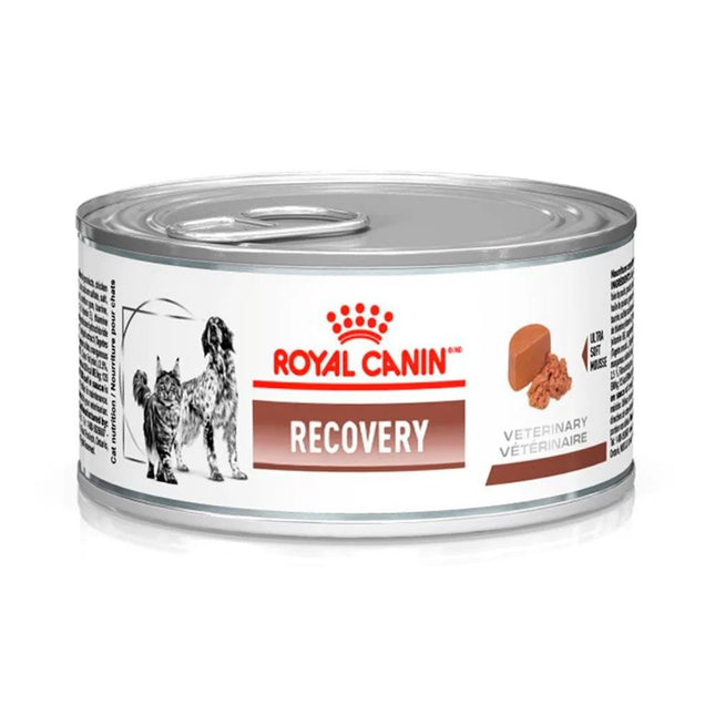 ROYAL LATA RECOVERY CANINE/FELINE 195G