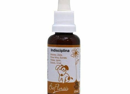 BIO FLORAIS INDISCIPLINA 31ML