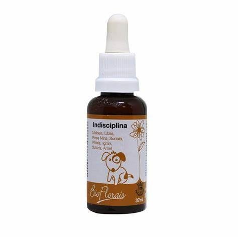 BIO FLORAIS INDISCIPLINA 31ML