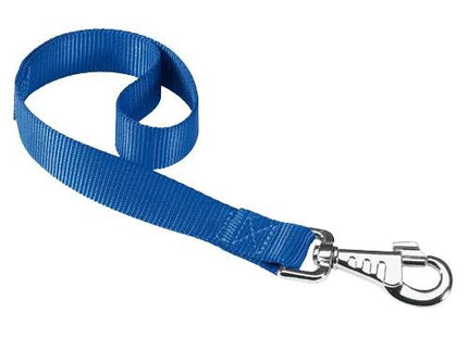 FERPLAST GUIA CLUB AZUL (GM25/45)